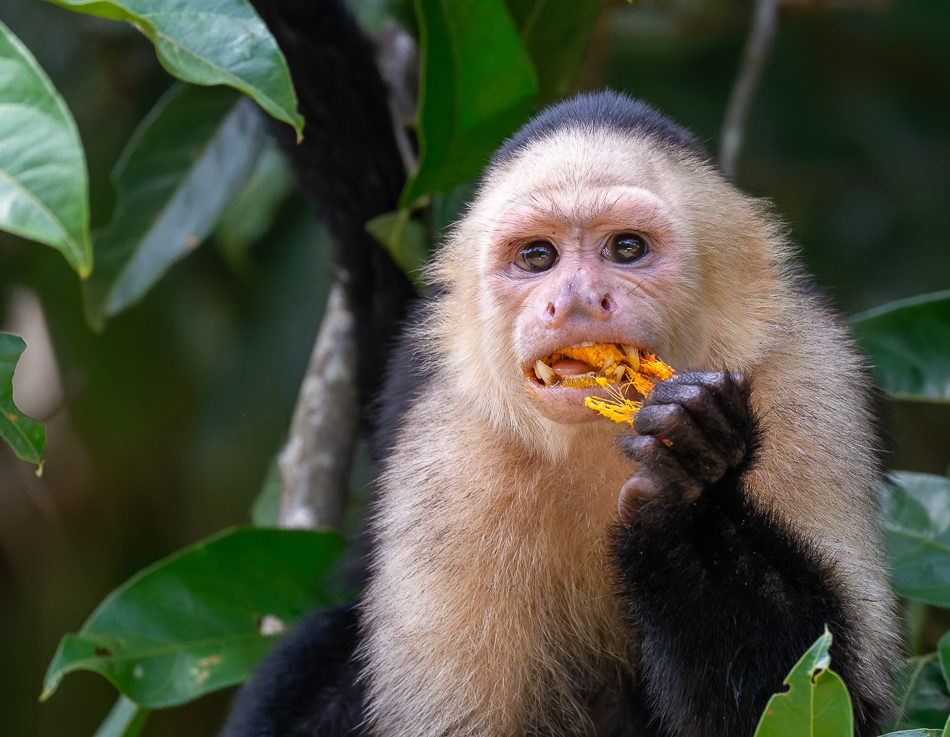 20240711_CR_Z8a_8550-NEF-DxO.jpg 20240711 CR Z8a 8550-NEF-DxO.