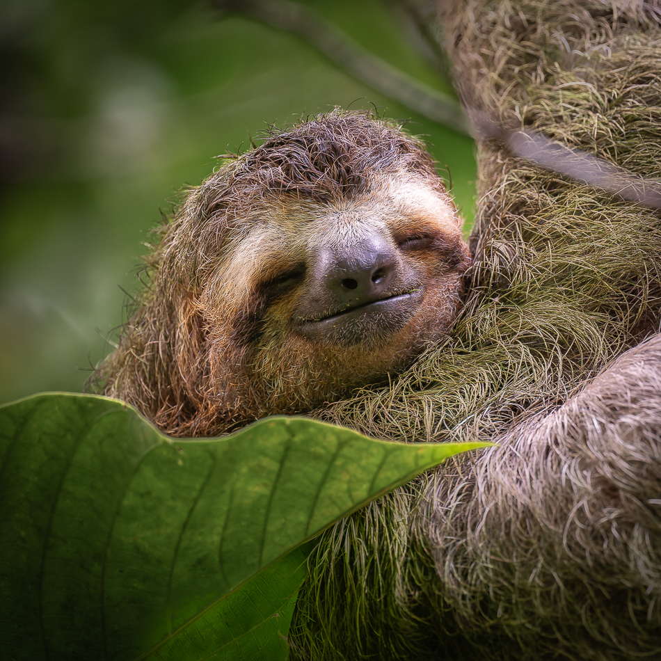 20240711_CR_Z8a_9163-NEF-DxO.jpg 20240711 CR Z8a 9163-NEF-DxO.