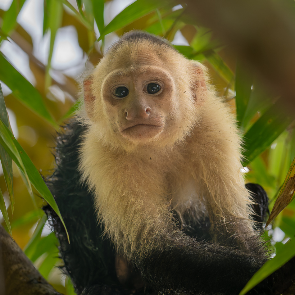 20240711_CR_Z8b_6164-NEF-DxO.jpg 20240711 CR Z8b 6164-NEF-DxO.