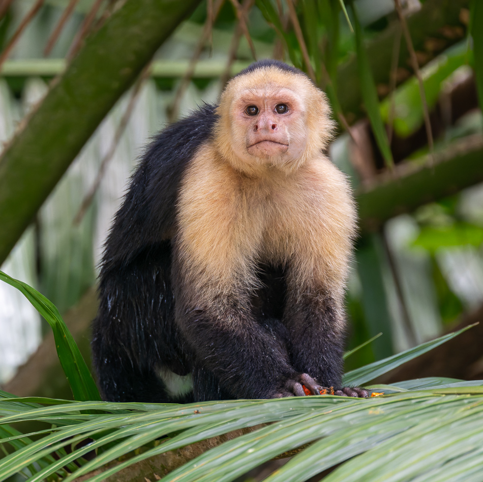 20240711_CR_Z8b_6473-NEF-DxO.jpg 20240711 CR Z8b 6473-NEF-DxO.