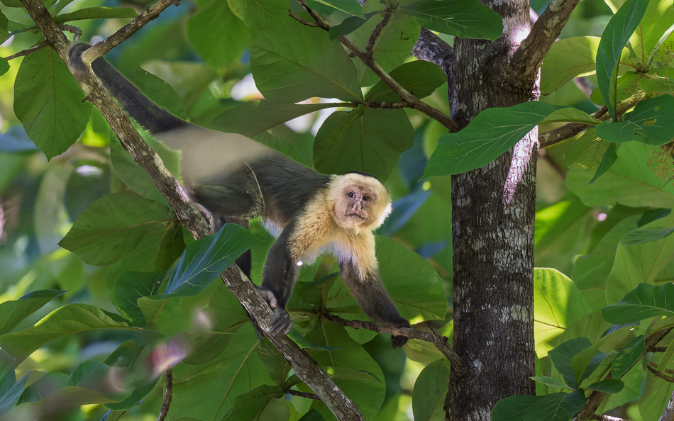 20240707_CR_Z8a_8753 NEF DxO XD2.