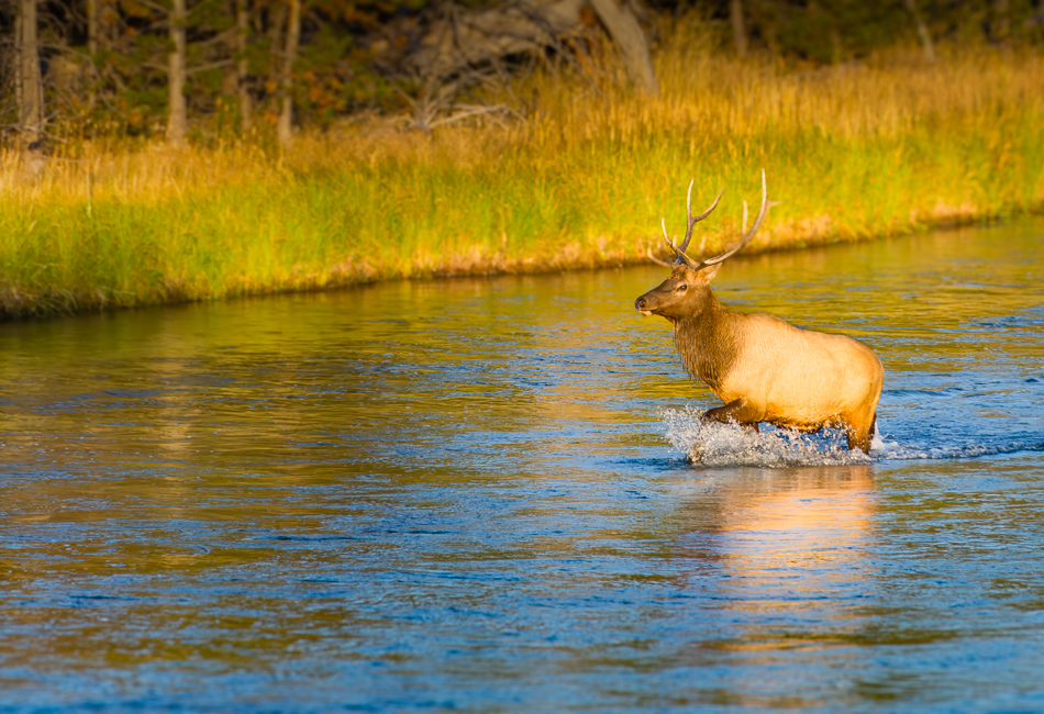 D71_3573 Edit Edit Edit Edit.