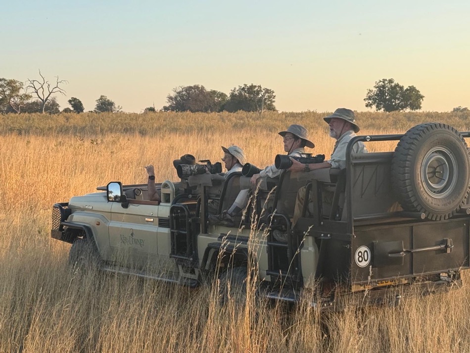 09c3d0f1 efea 4984 bfc3 cb2d484768c0.