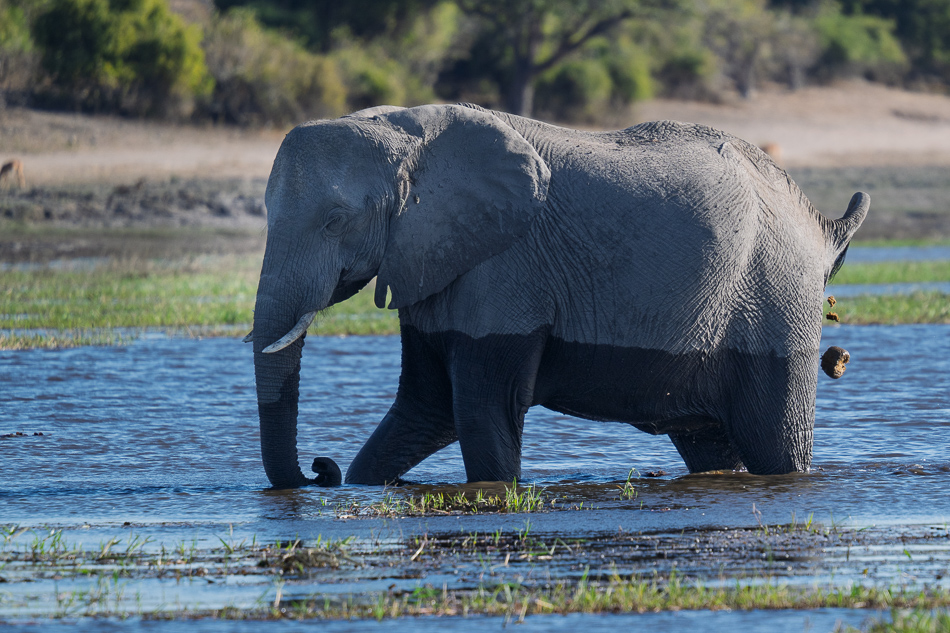 20250801 Z8B Botswana 0414.