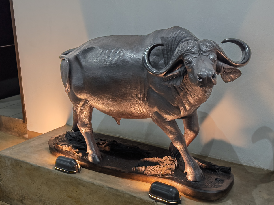 20250802 iPhone15 Botswana 5837.