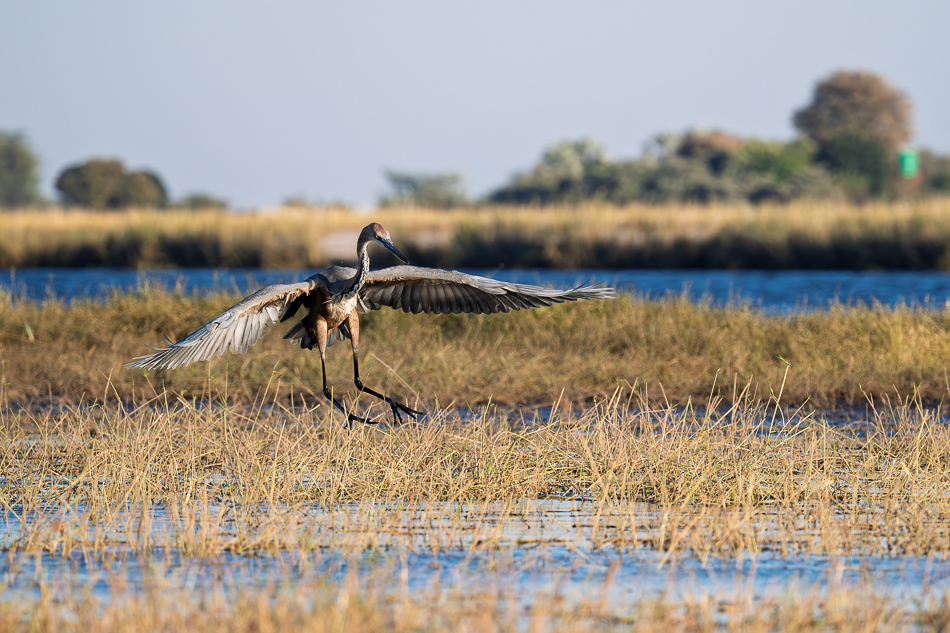 20250802 Z8B Botswana 3122.