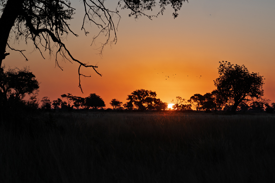 20250804 Z8A Botswana 1108.