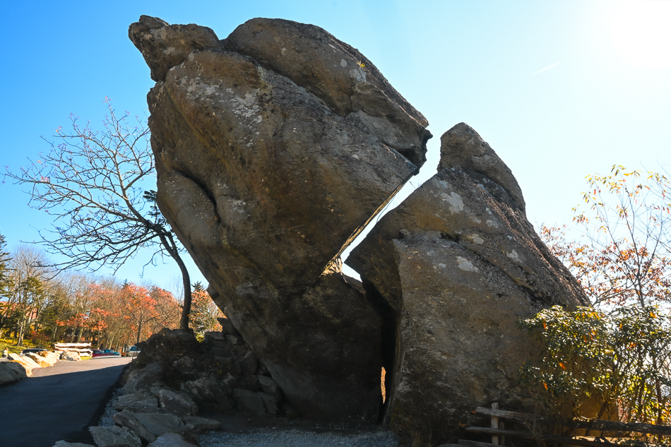 20251021 Z50II LeafTrip 0192.