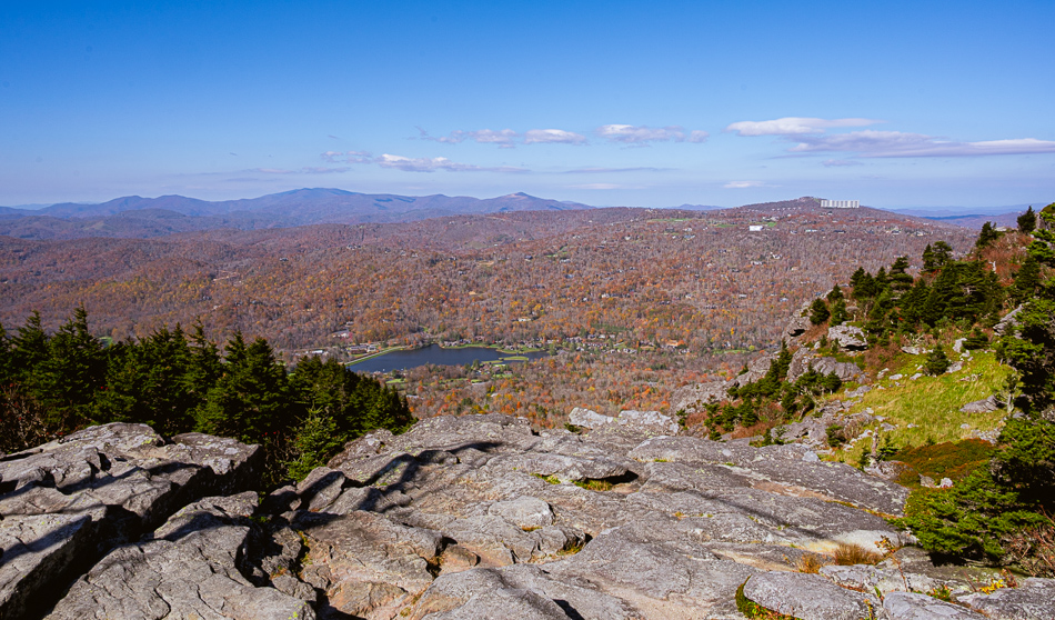 20251021 Z8A LeafTrip 4885.