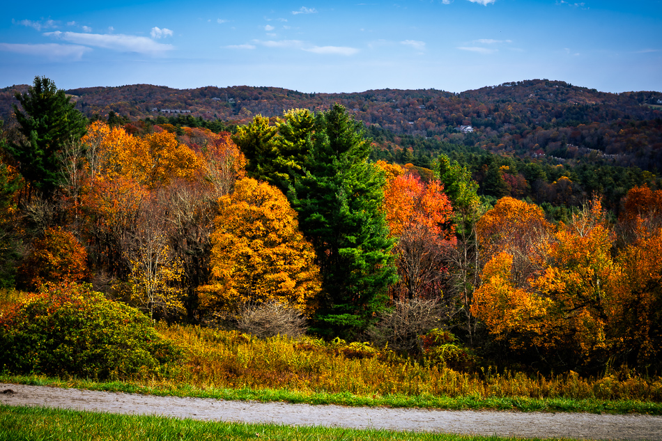 20251021 Z8A LeafTrip 4949.