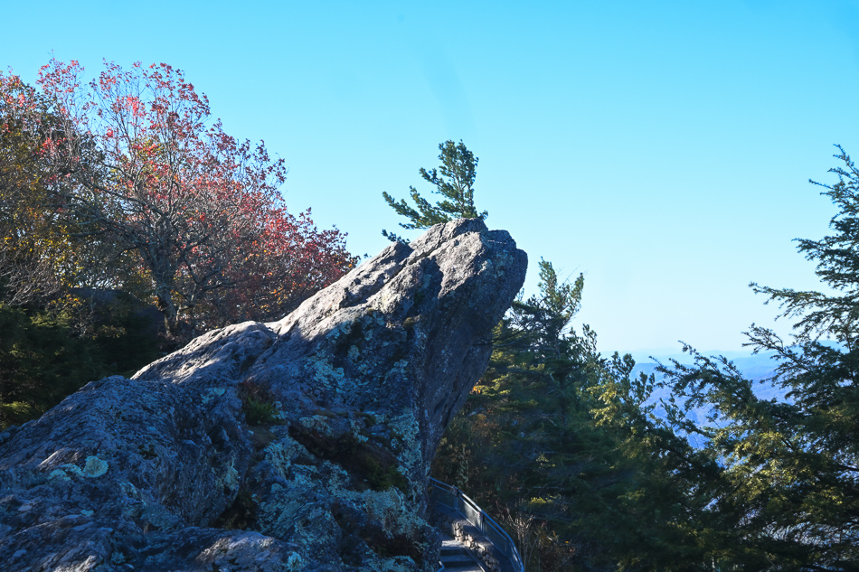 20251022 Z50II LeafTrip 0221.