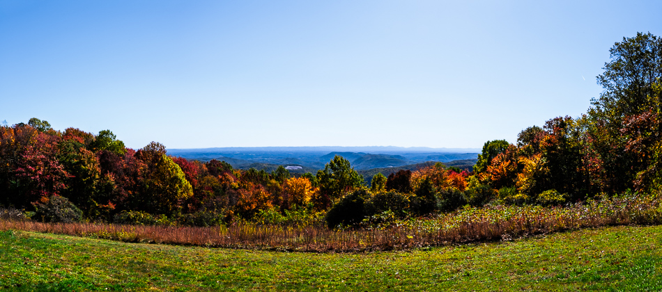 20251022 Z8A LeafTrip 5107-Pano.
