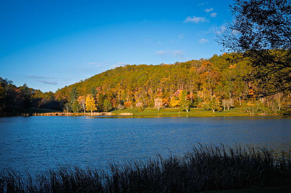 20251024 Z8A LeafTrip 5223.