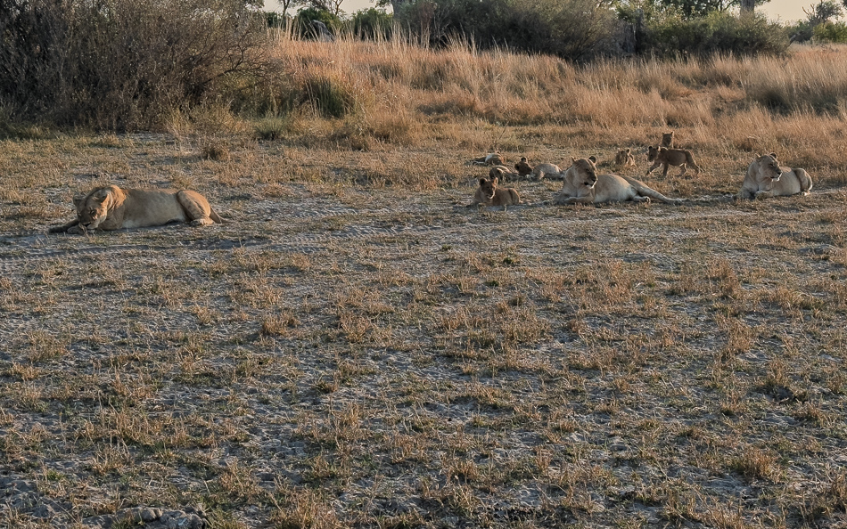 20250806 iPhone15 Botswana 5917.