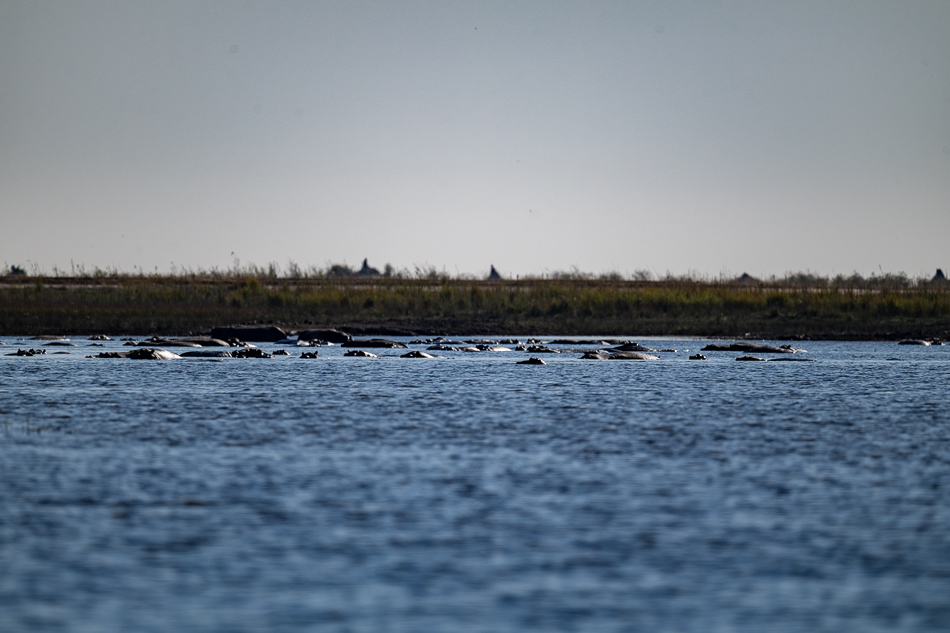 16-20250809 Z8B Botswana 4117.