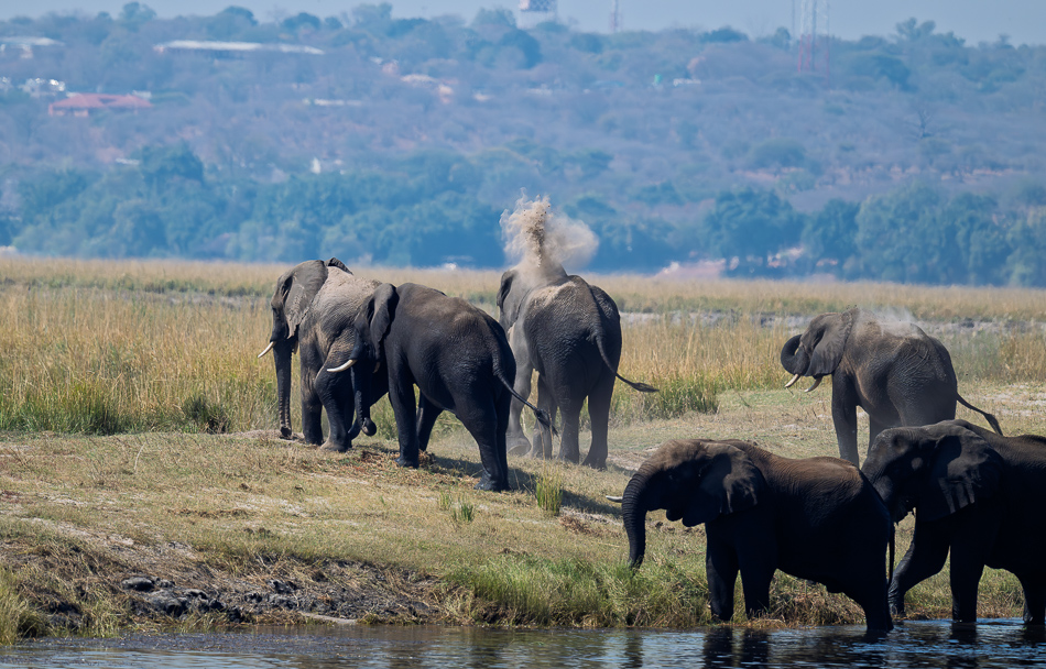 19-20250809 Z8B Botswana 4630.