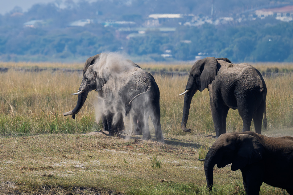 20-20250809 Z8B Botswana 4722.