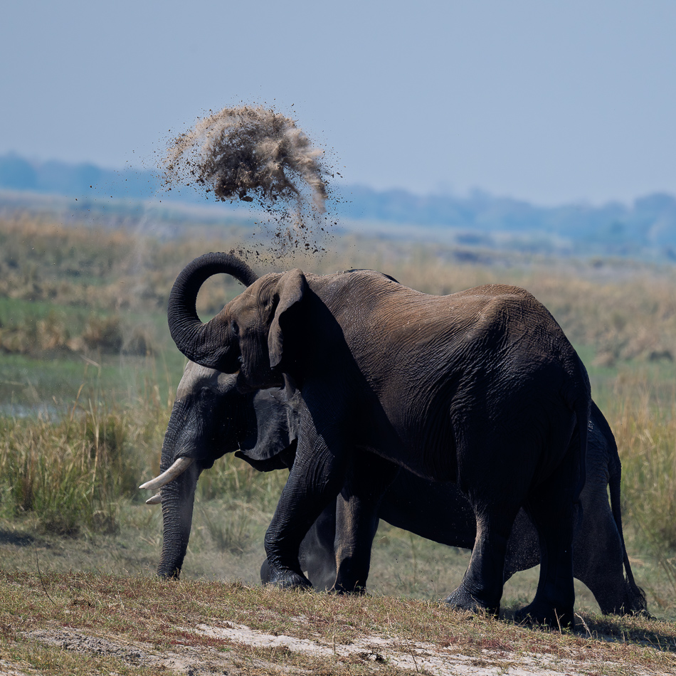 21-20250809 Z8B Botswana 4784.