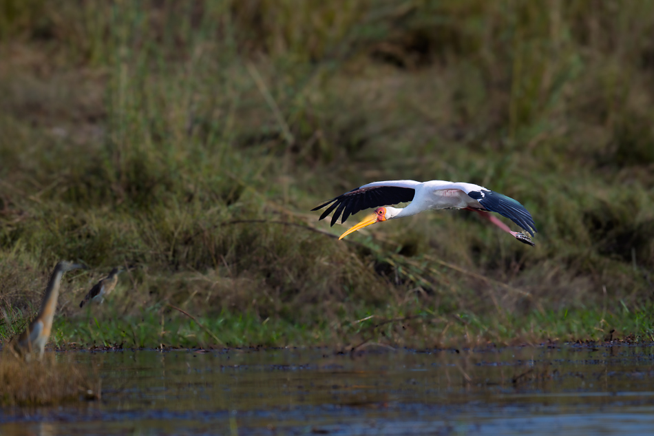 23-20250809 Z8B Botswana 4956.