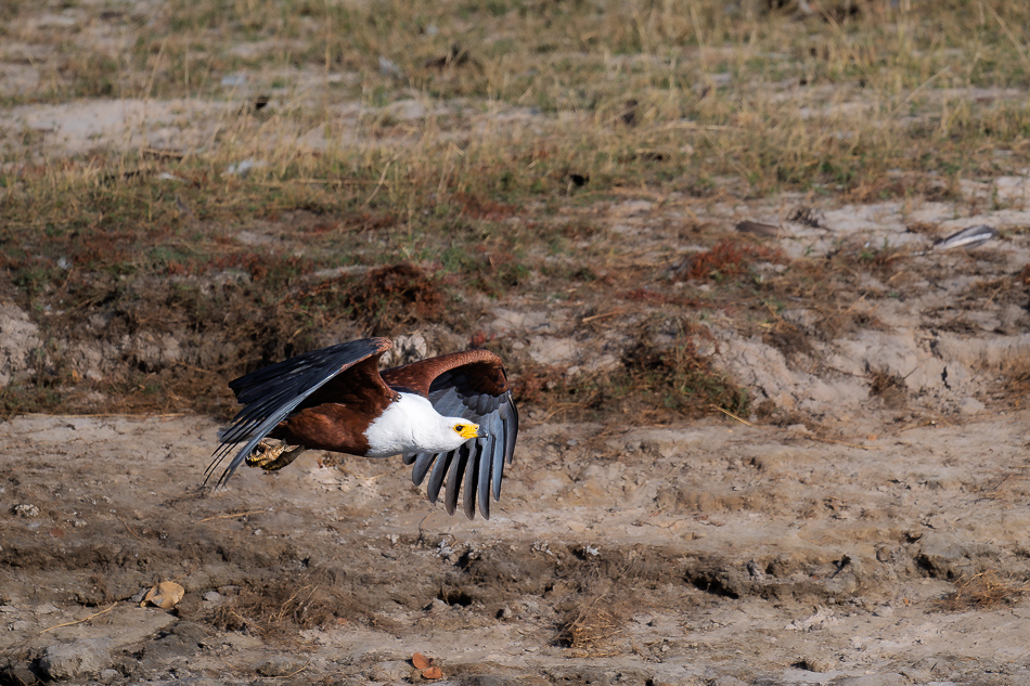 30-20250809 Z8B Botswana 5787.