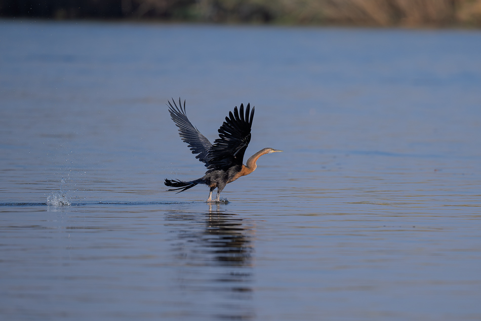 30-20250810 Z8B Botswana 9983.