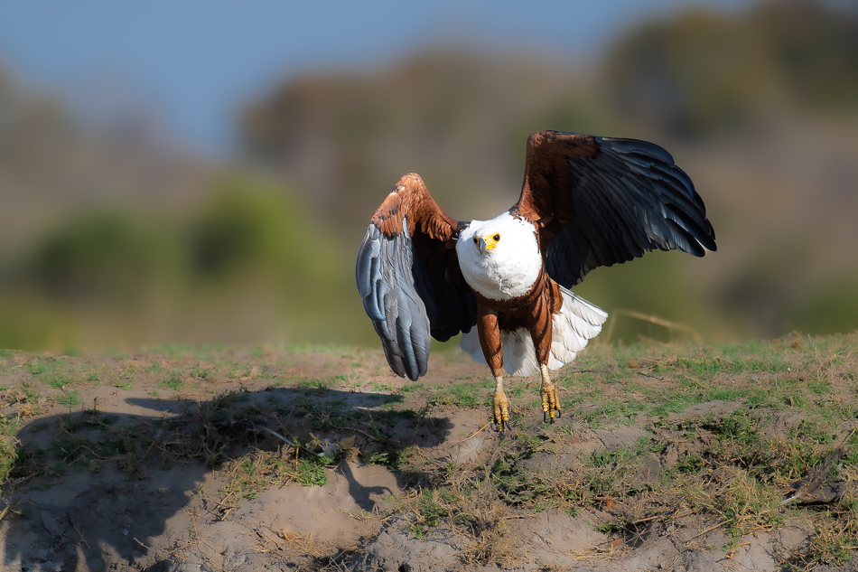 32-20250809 Z8B Botswana 5831.