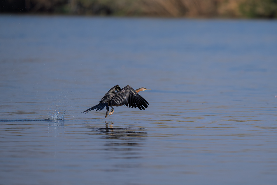 32-20250810 Z8B Botswana 9985.