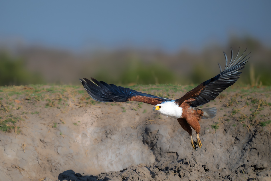 33-20250809 Z8B Botswana 5845.