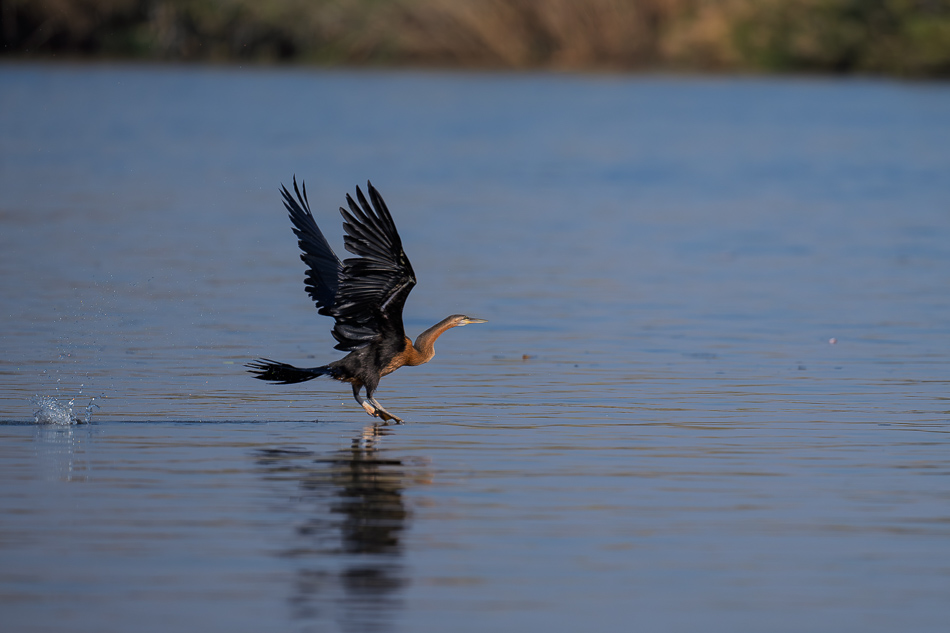 33-20250810 Z8B Botswana 9986.