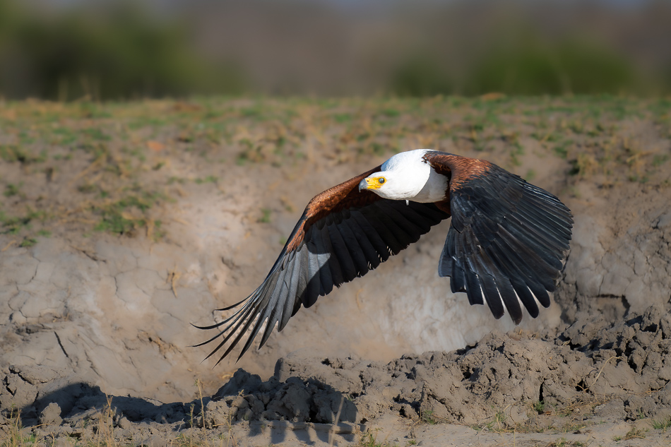 34-20250809 Z8B Botswana 5847.