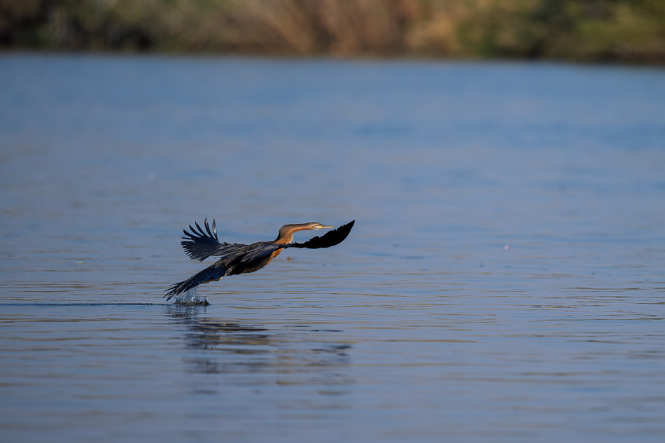 34-20250810 Z8B Botswana 9987.