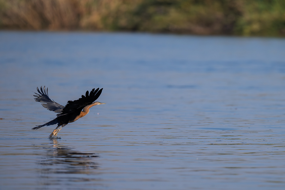 35-20250810 Z8B Botswana 9990.