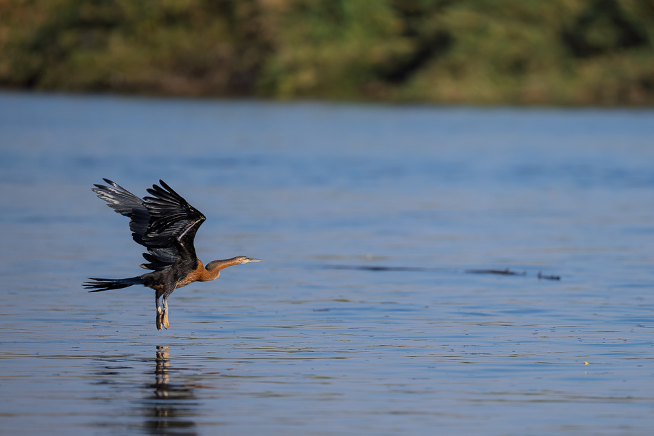 36-20250810 Z8B Botswana 9996.