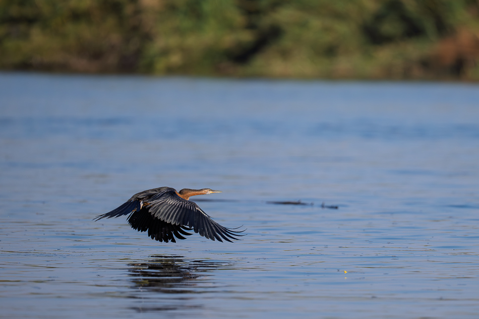 37-20250810 Z8B Botswana 9998.