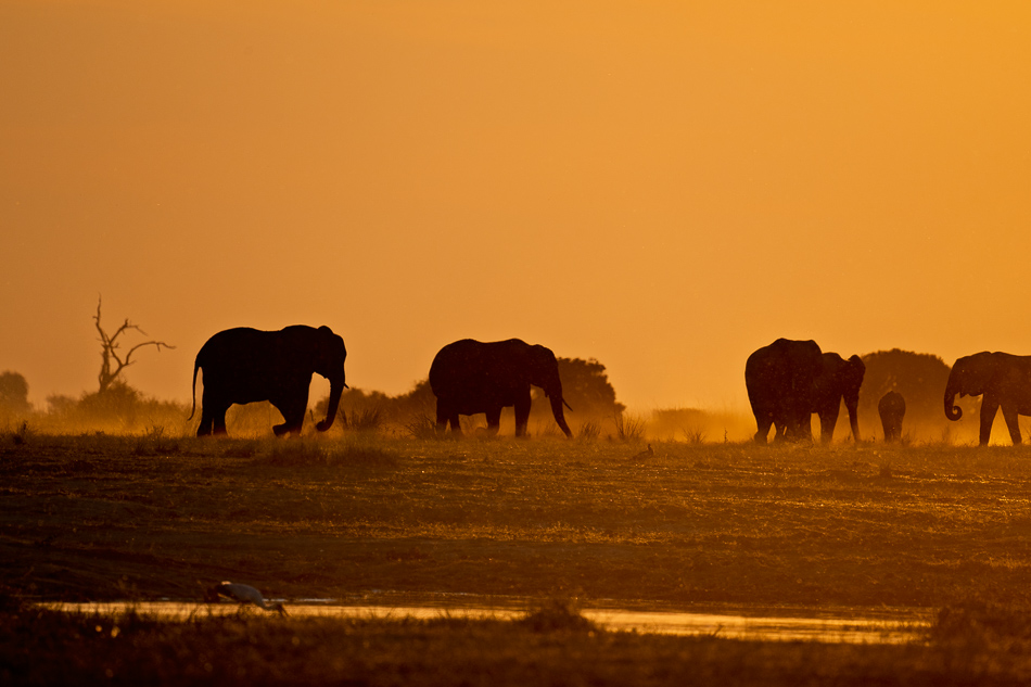 39-20250809 Z8B Botswana 6185.