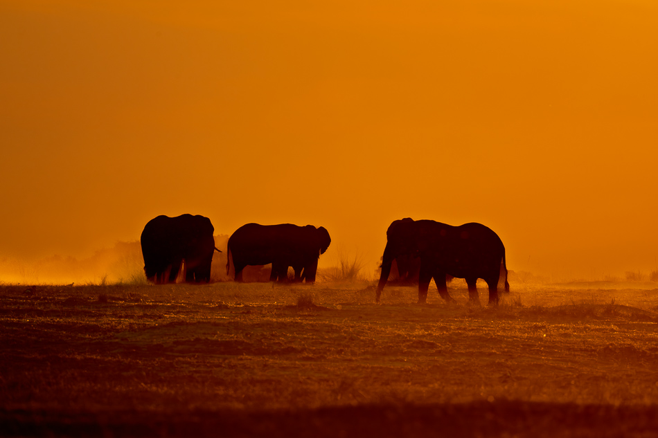 40-20250809 Z8B Botswana 6205.