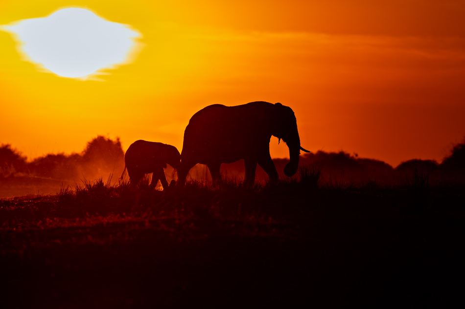 42-20250809 Z8B Botswana 6580.