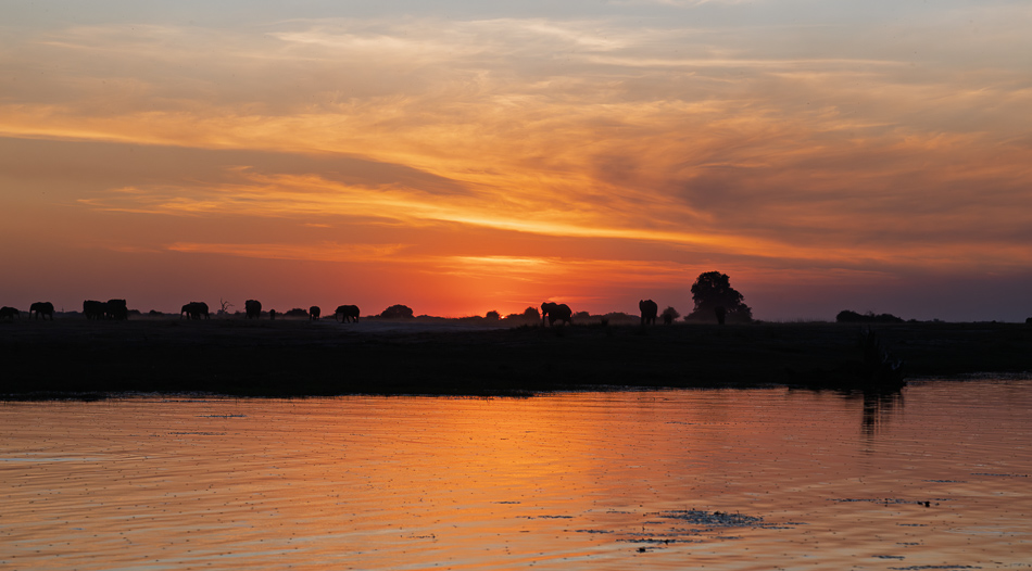 43-20250809 Z8A Botswana 4448.