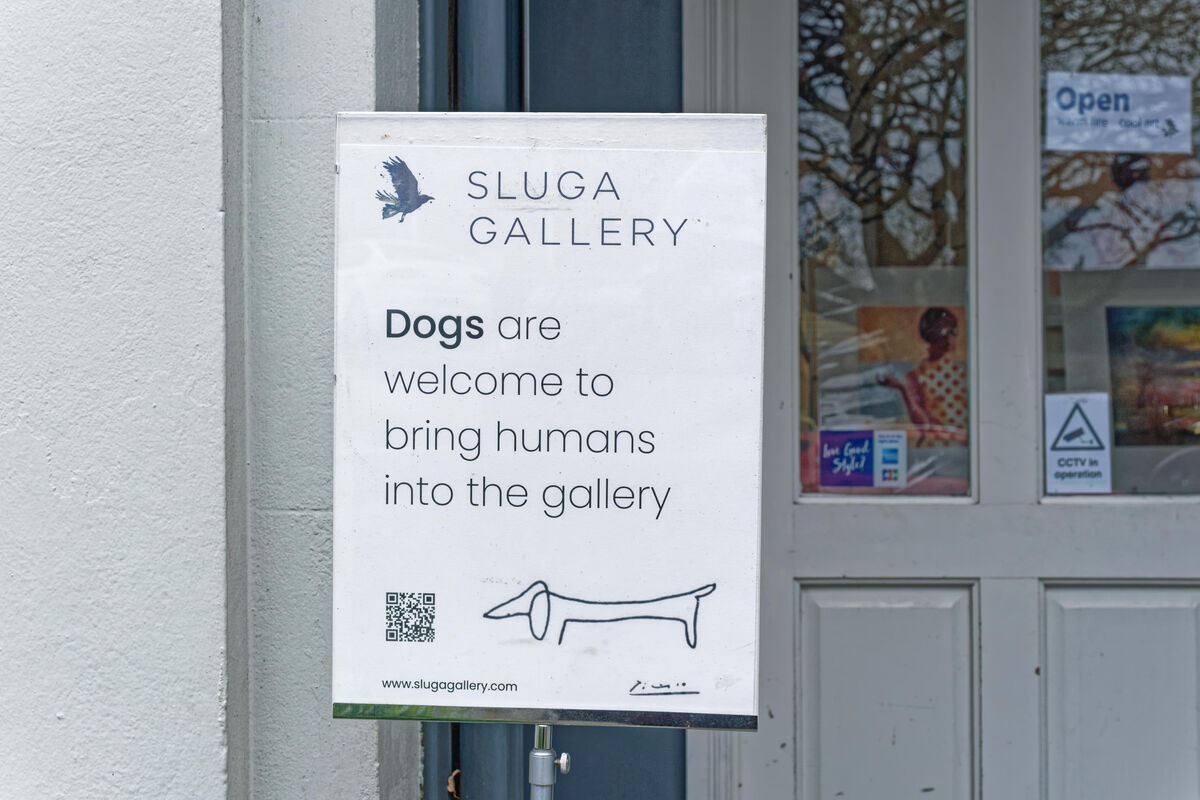 T1-403204-endly gallery fxt34821 dxo.