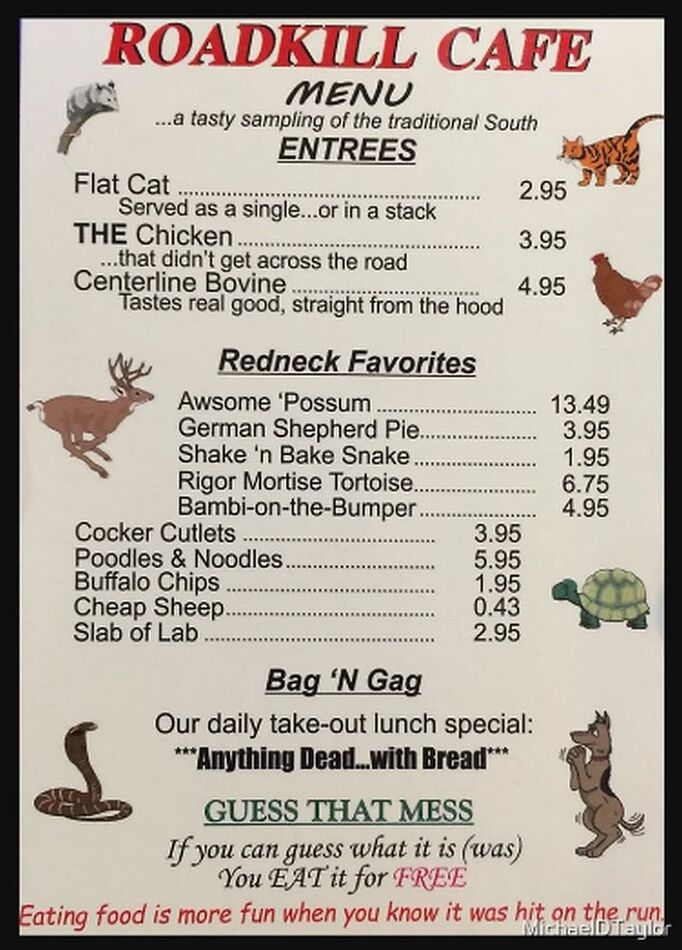 T1 572161 roadkill_2.